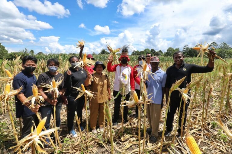 JAGUNG