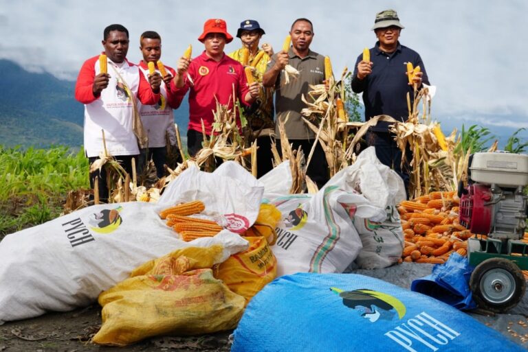 papua-youth-creative-hub-pych-akan-menjadi-label-semua-produ-abzq