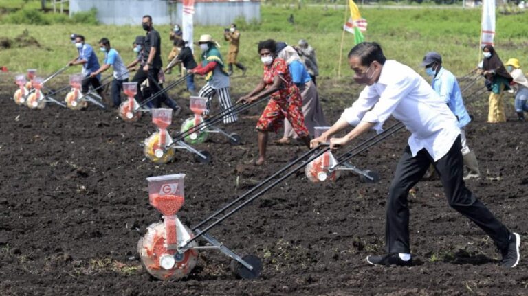 kominfo-jokowi-pertanian-papua-barat-sorong