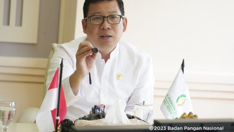 kepala-badan-pangan-nasional-arief-prasetyo-adi_169