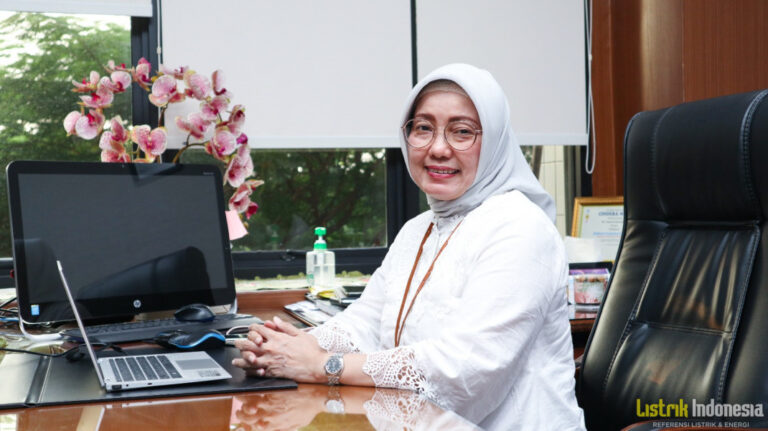 15926760614-chairani_rachmatullah,_dirut_plne