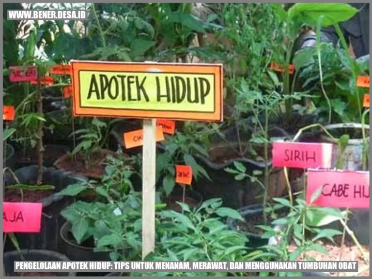 pengelolaan-apotek-hidup-tips-untuk-menanam-merawat-dan-menggunakan-tumbuhan-obat