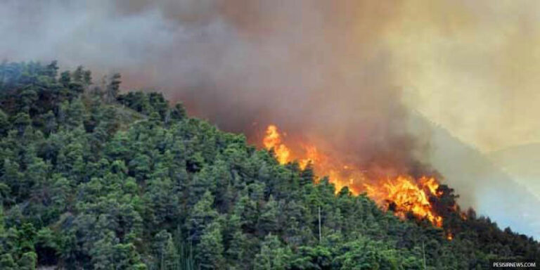 60dampakkebakaranhutan