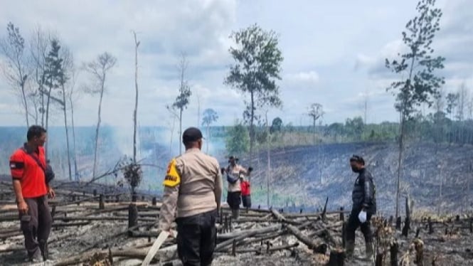 6805bb84a686e-kebakaran-hutan_wisata