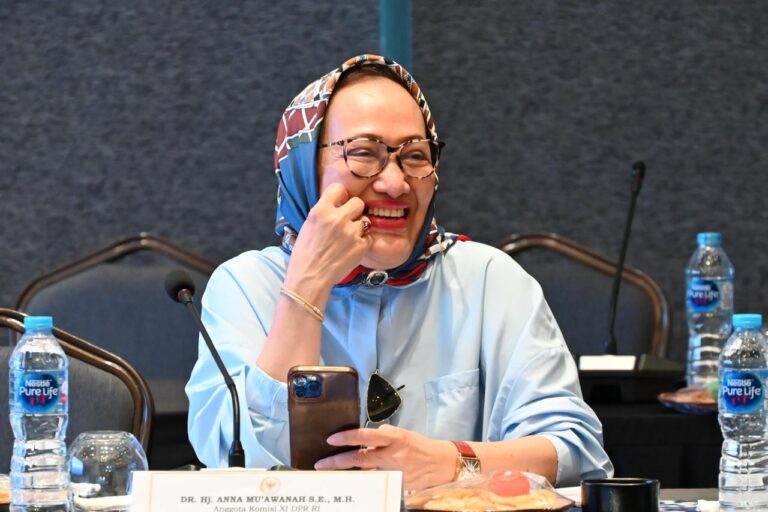 Legislator-PKB-Ajak-Semua-Pihak-Waspadai-Pengibaran-Bendera-One-Peace