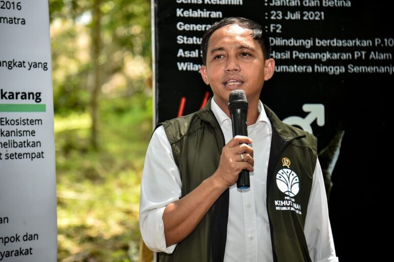menteri-kehutanan-perdagangan-karbon-sektor-kehutanan-segera-diresmikan-13032025-180855 (1)