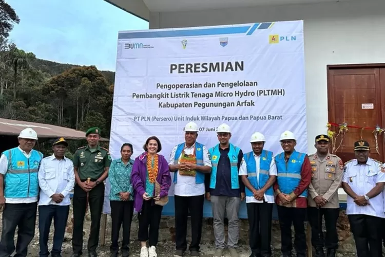 pln-PEGUNUNGAN-ARFAK