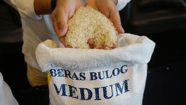 pemerintah-melalui-kementerian-sosial-memberikan-kepercayaan-kepada-perum-bulog-untuk-melanjutkan-program-bantuan-beras-ppkm-t_169