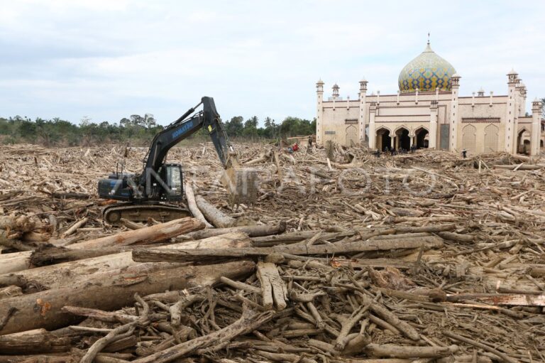pembersihan-gelondongan-kayu-di-aceh-tamiang-1lqoy-dom