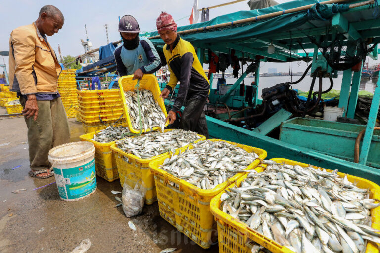 09072024-bi-bio-24-ikan_4_1720573933