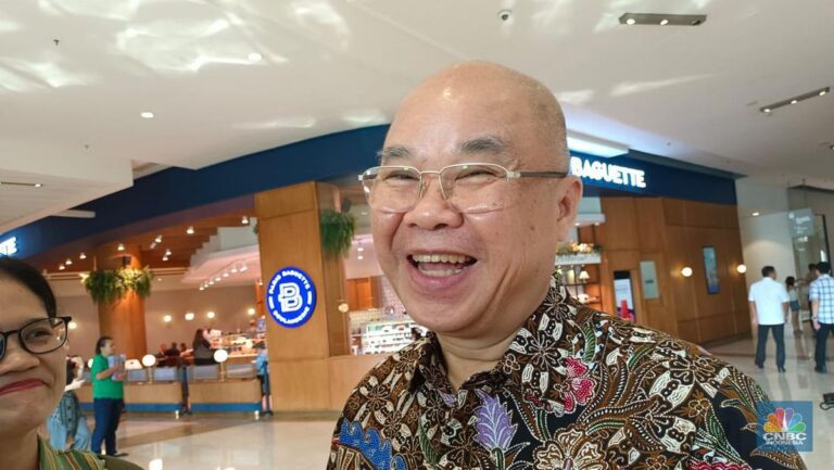 ketua-umum-asosiasi-pengelola-pusat-belanja-indonesia-appbi-alphonzus-widjaja-cnbc-indonesiamartyasari-rizky_169