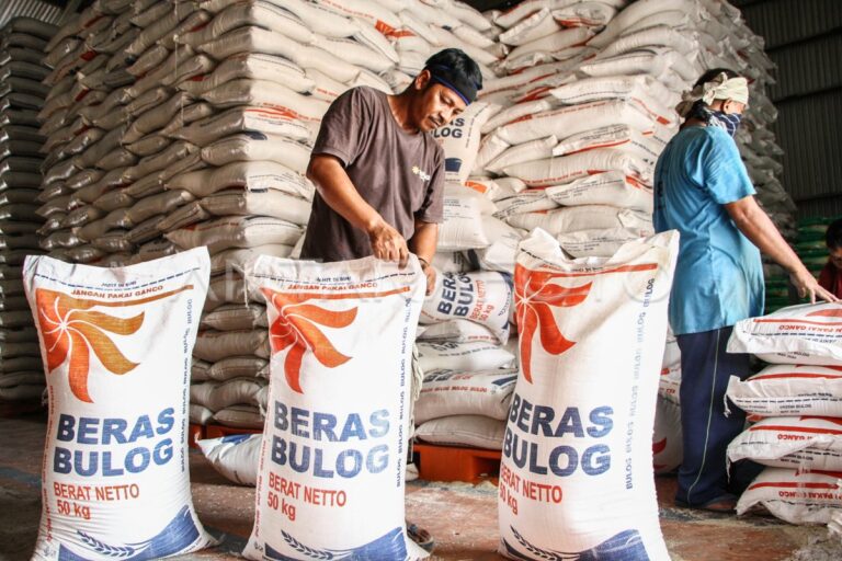 stok-beras-nasional-diprediksi-bertambah-satu-juta-ton-1jd69-dom