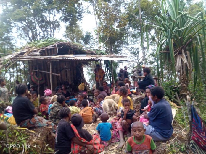pengungsi-di-papua-696x522