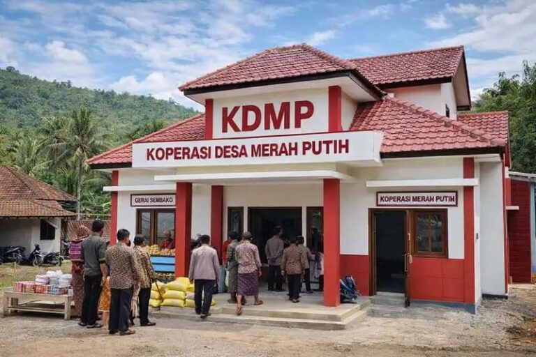 kdmp